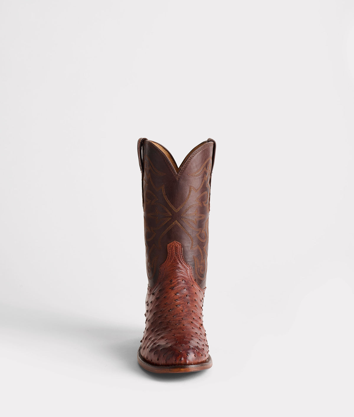 Hudson :: Chocolate 5