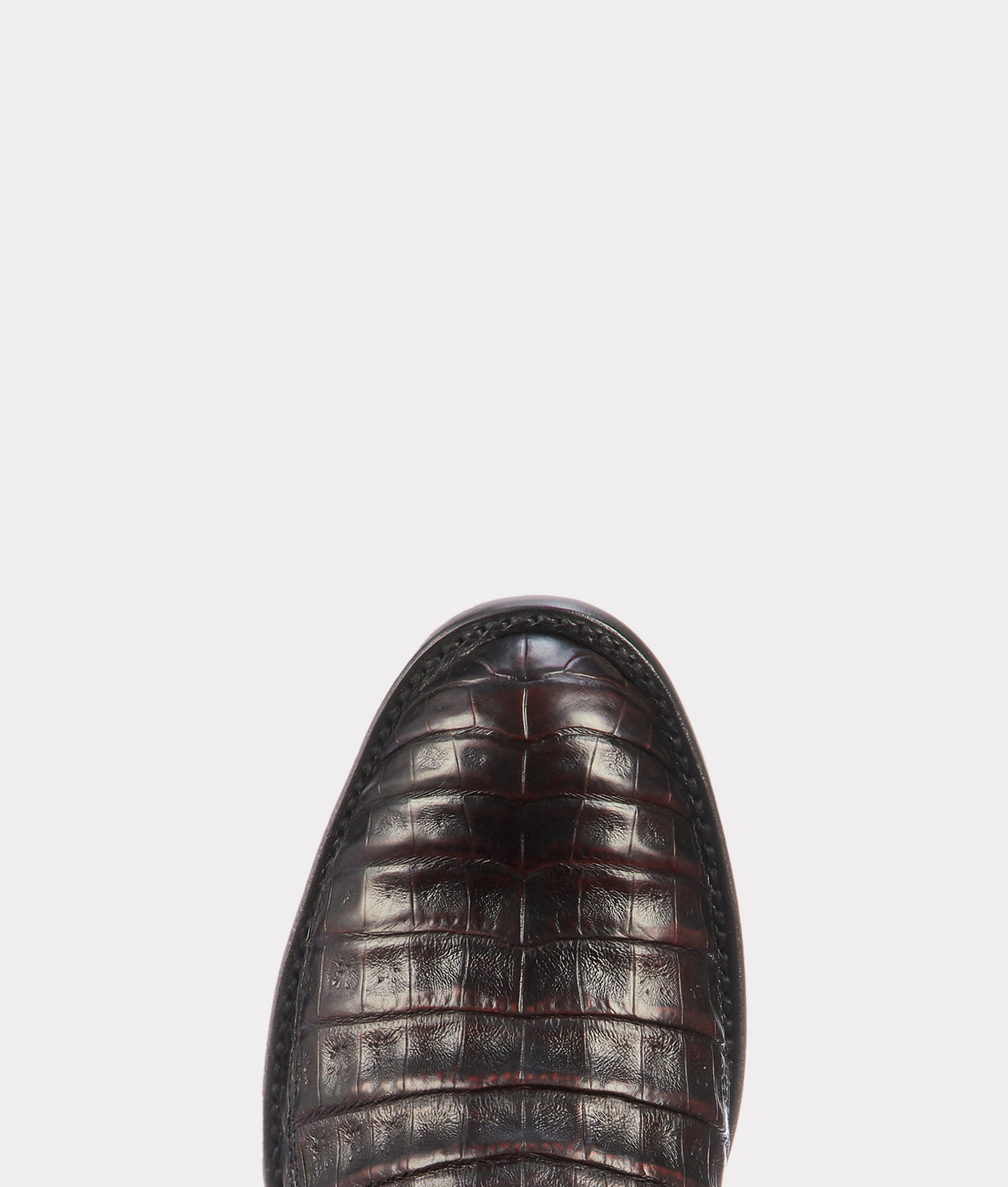 Gerard :: Black Cherry 6