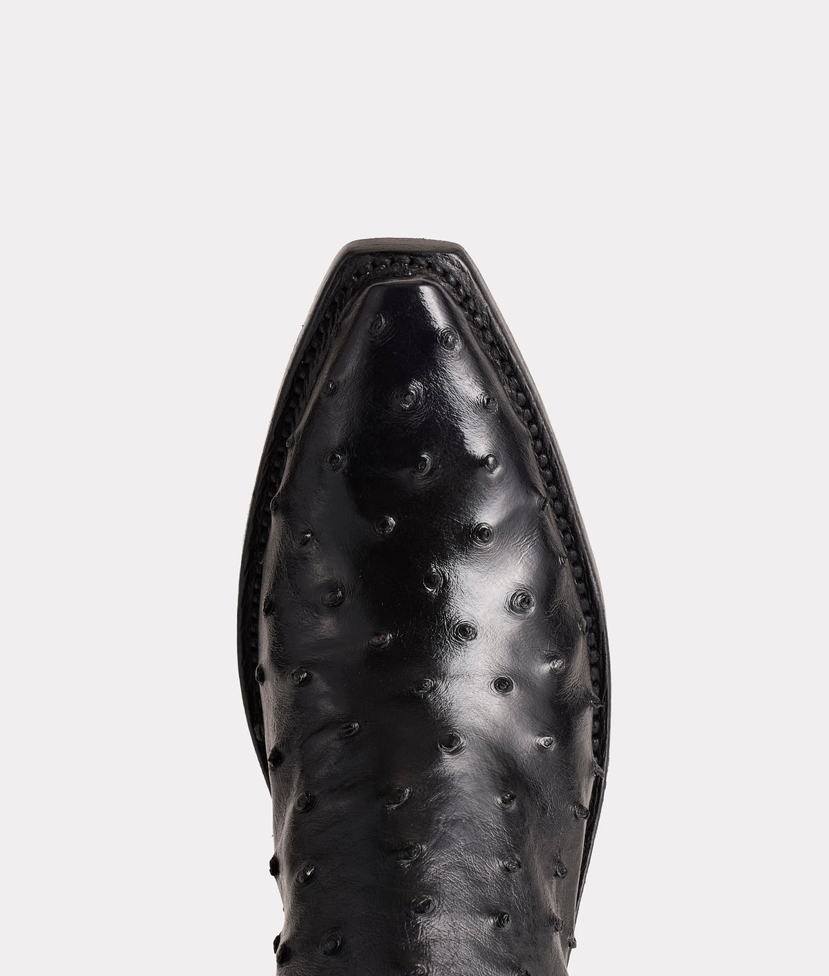 Dolly :: Black 7