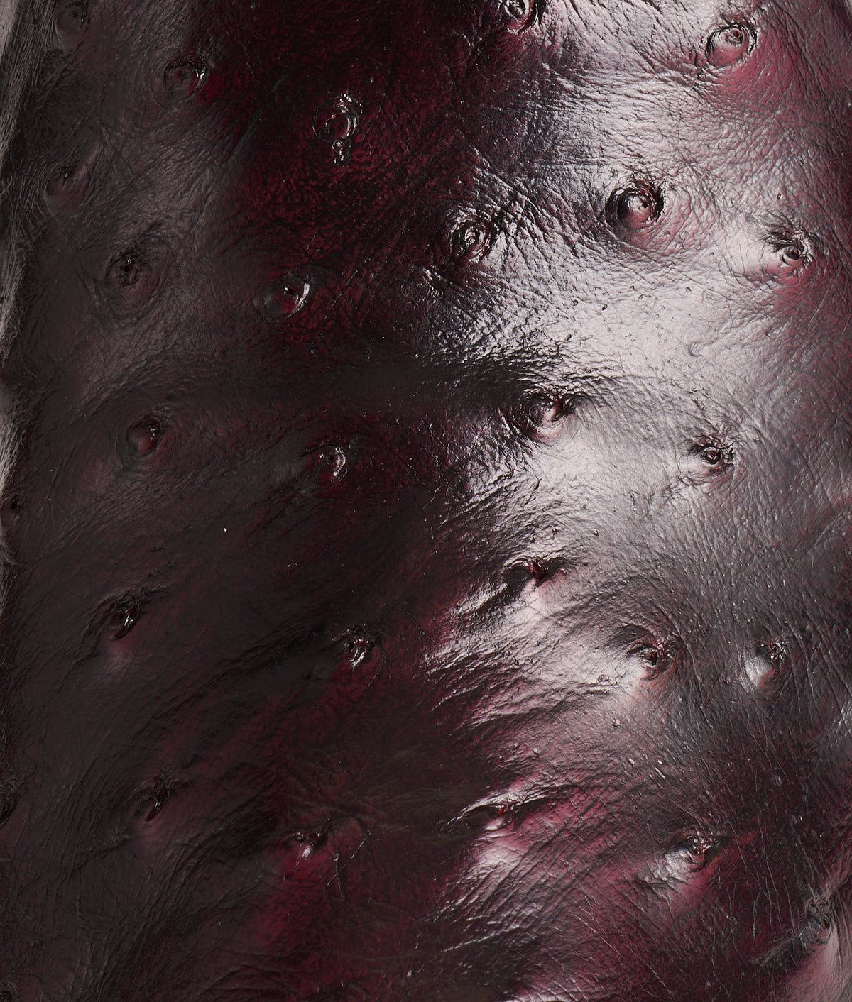 Josephine :: Black Cherry 10