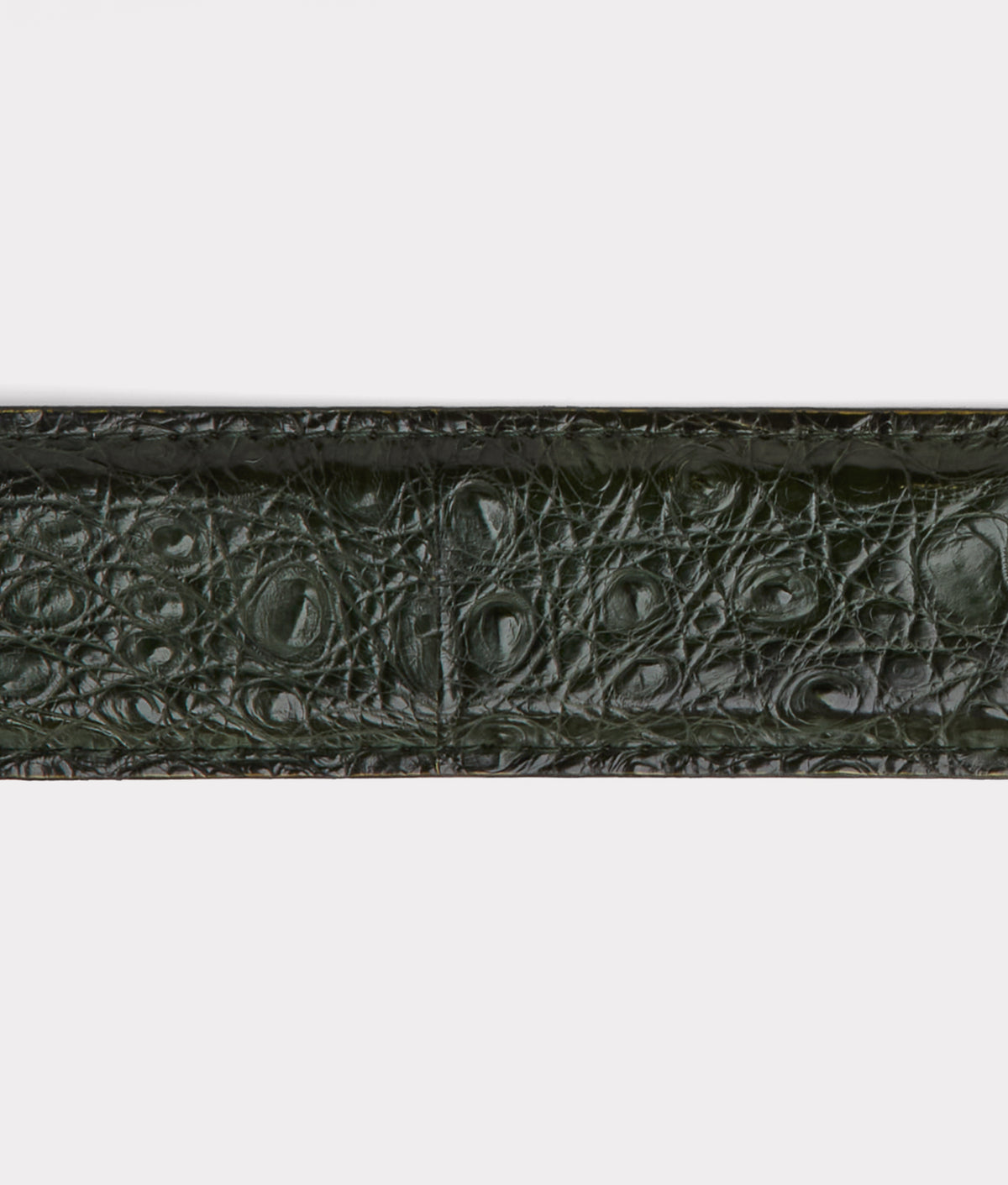 Buckaroo Belt :: Jungle Green 4