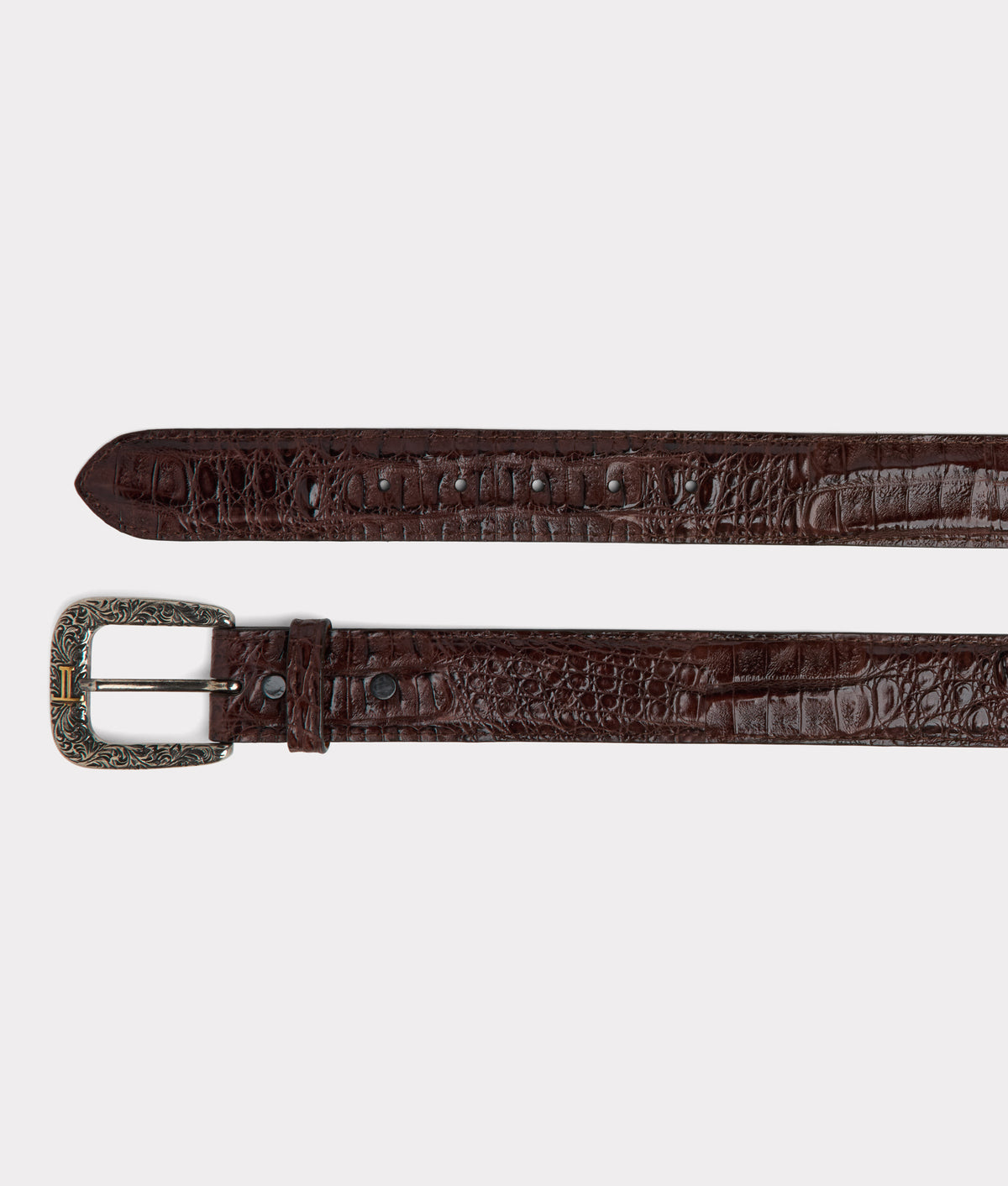 Buster Belt :: Chocolate 2