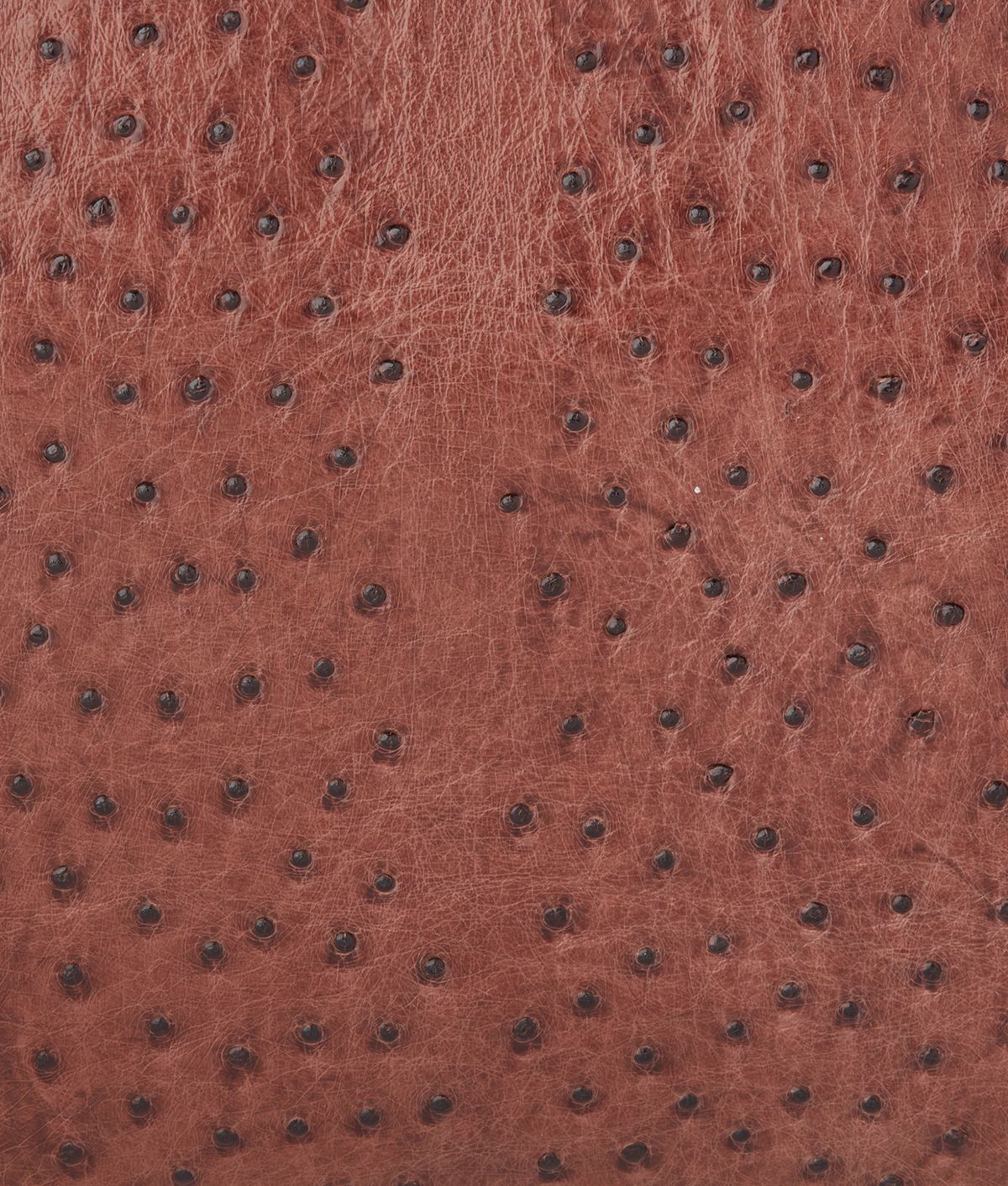 Ostrich Duffle - Large :: Chocolate 7