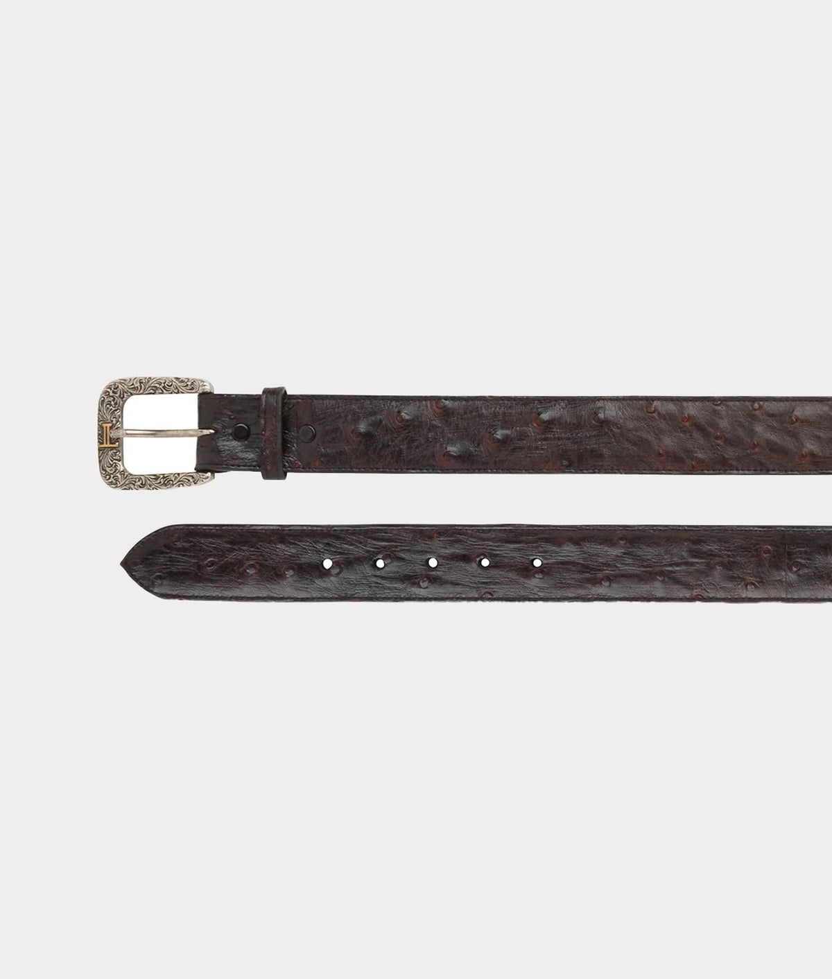 Full Quill Ostrich :: Black Cherry 3