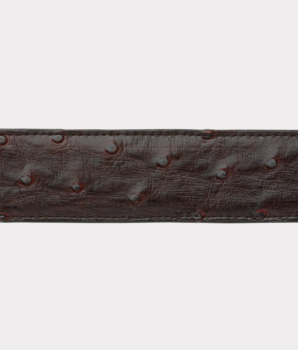Full Quill Ostrich :: Black Cherry 6