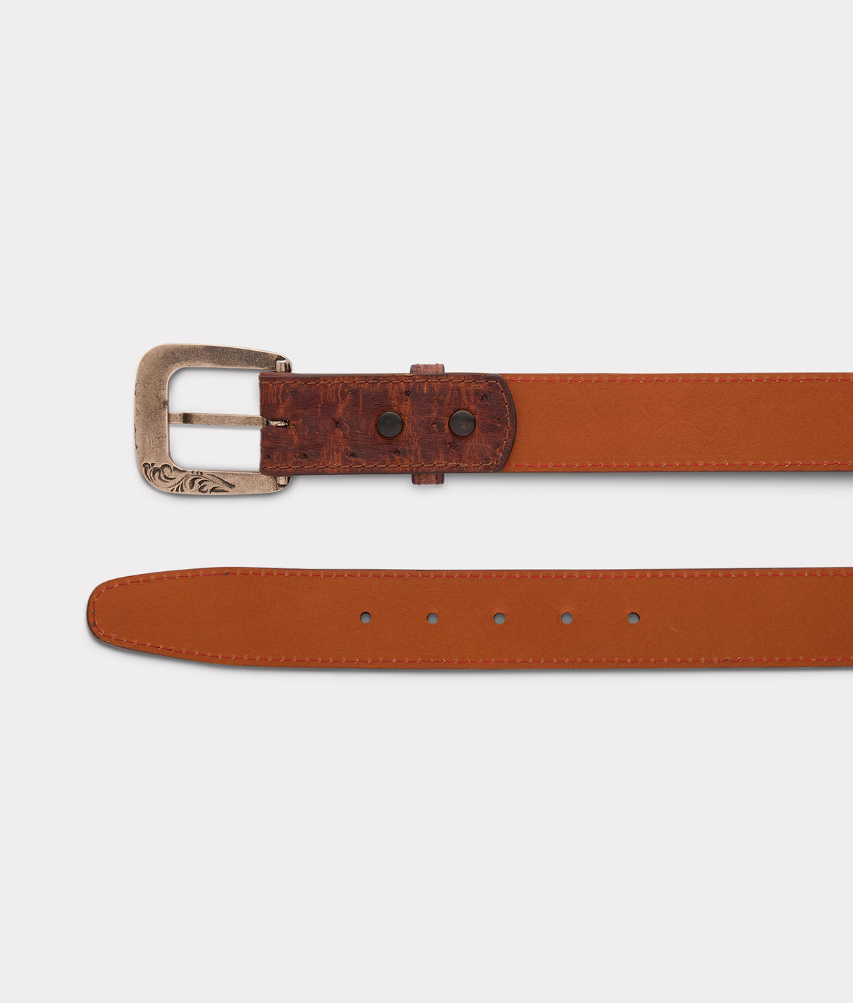 Full Quill Ostrich :: Sienna 3