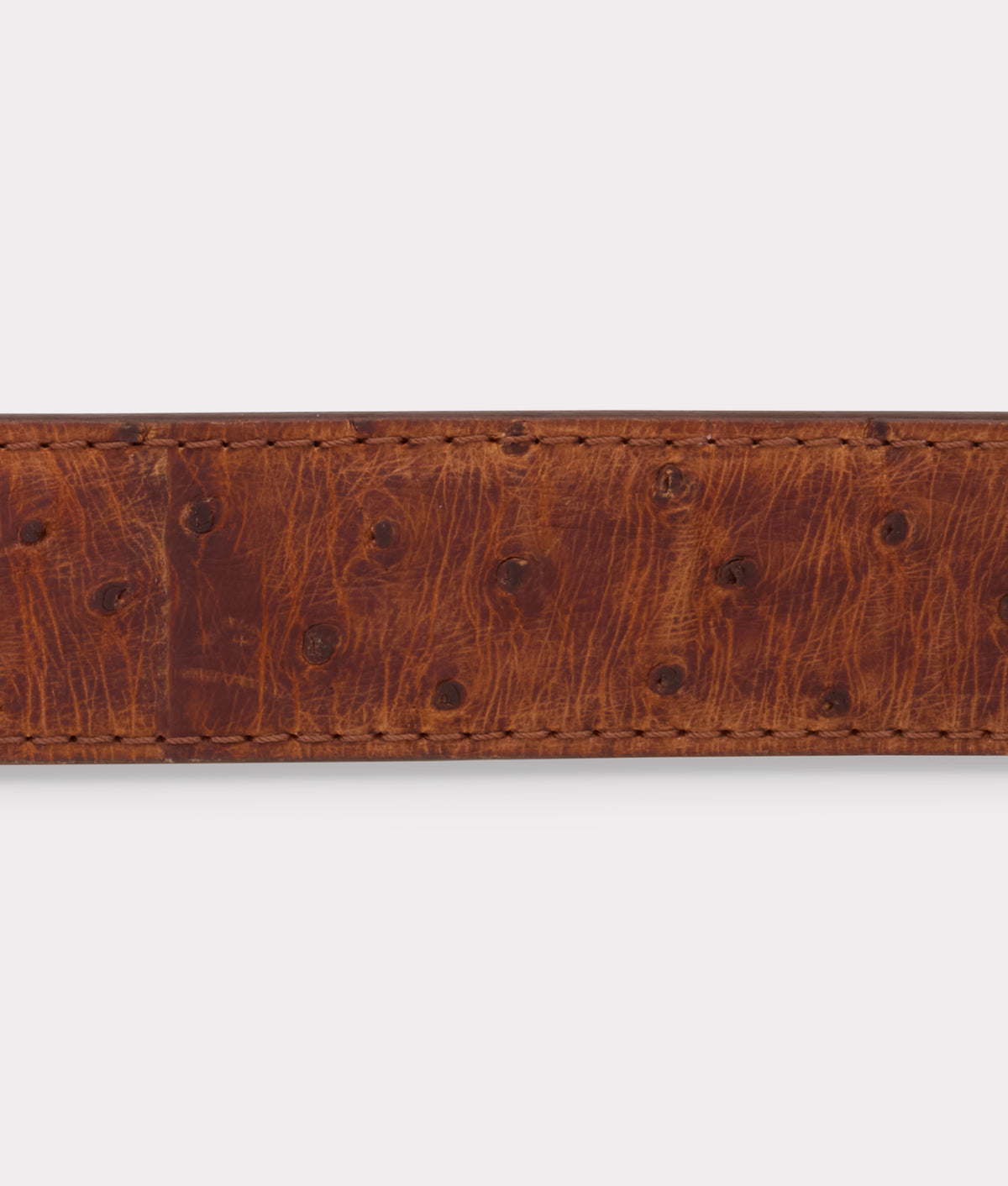 Full Quill Ostrich :: Sienna 4