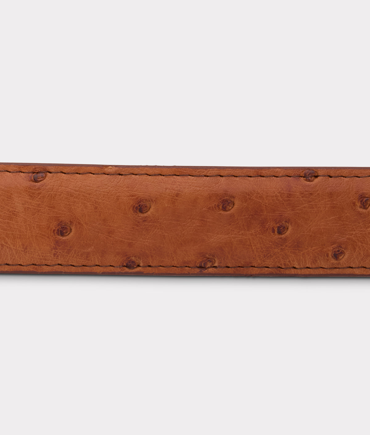 Full Quill Ostrich Tapered :: Barnwood 4