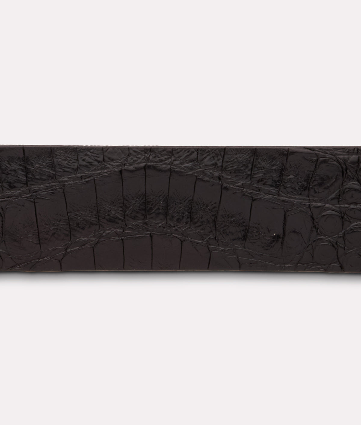 Ultra Belly Caiman :: Black 5