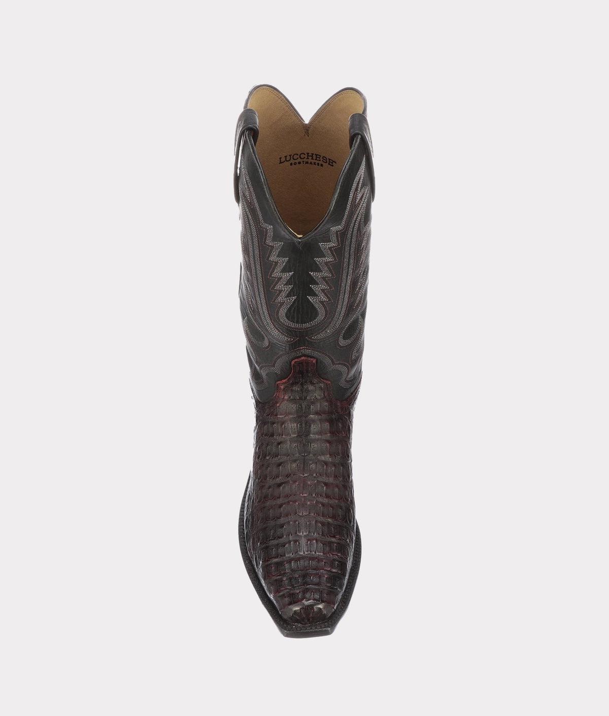 Walter :: Black Cherry + Black 4