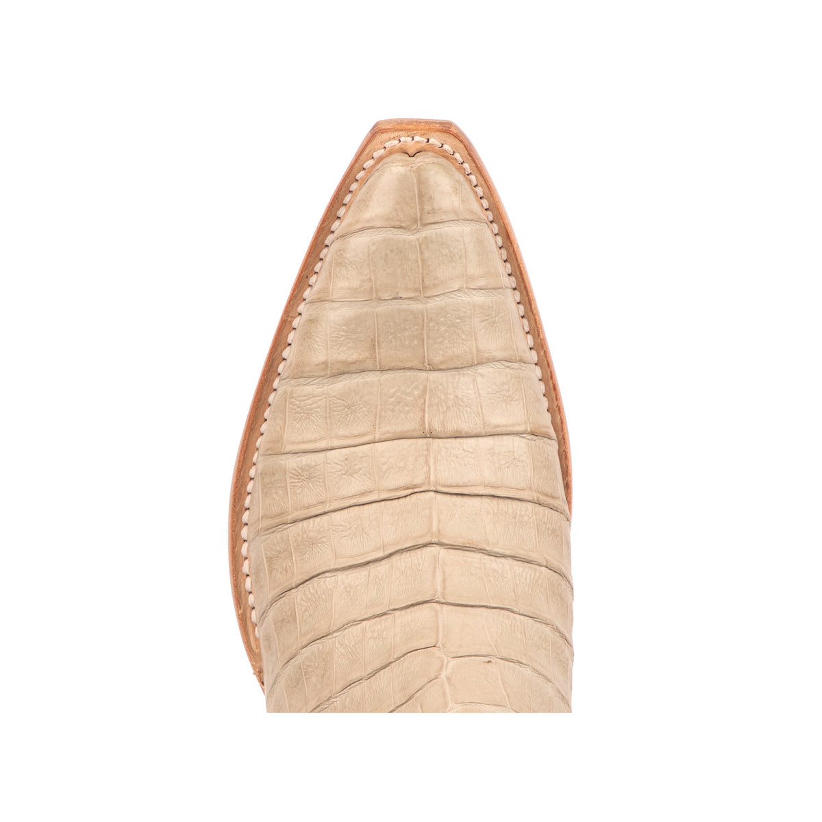 Dale Exotic :: Glitz Cream/Sage 2